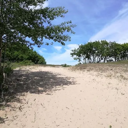 De Zeemeeuw * Egmond aan den Hoef